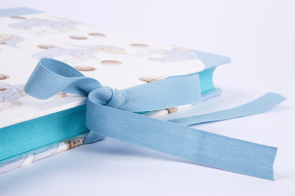 Album Foto 23x30 Fogli Rosa/Azzuri