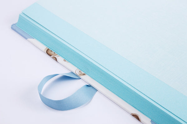 Album Foto 23x30 Fogli Rosa/Azzuri