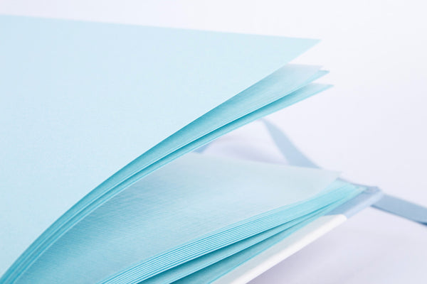 Album Foto 23x30 Fogli Rosa/Azzuri