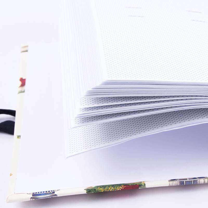Album Foto con Plastiche e Strisce Adesive