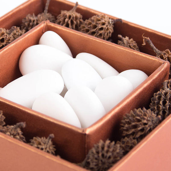 Scatole con Scomparti e Spezie