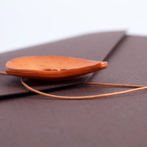 Cartellina in Cartoncino