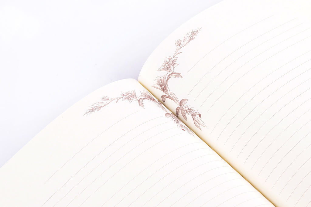 Libro Ricette